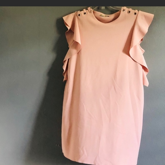 zara baby pink dress